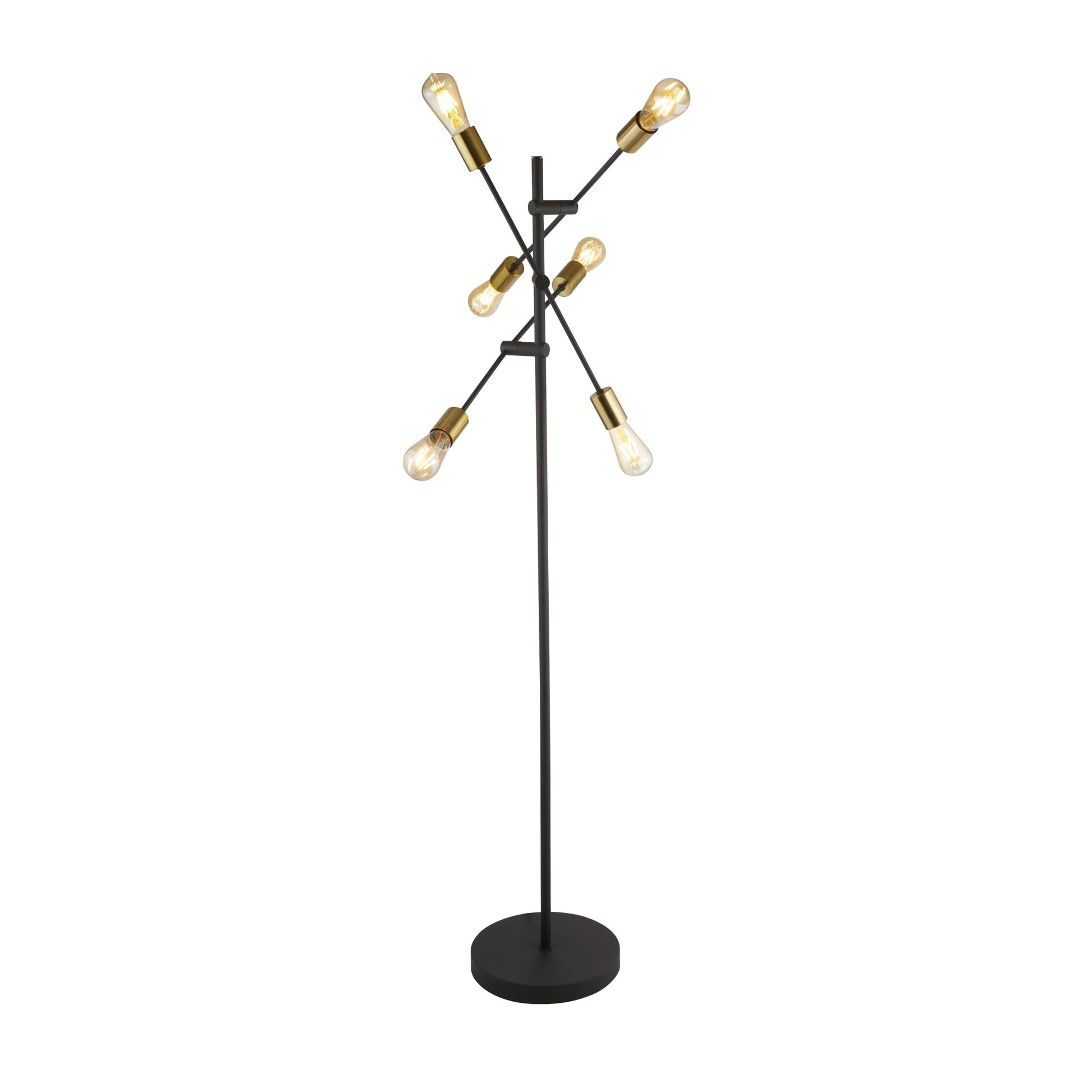 Armstrong 6 Light Black & Satin Brass Floor Lamp