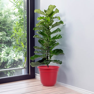 3Pcs Florus 27cm Red Round Plastic Planters