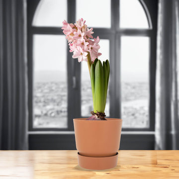 4Pcs Elho 19.5cm Ginger Brown Round Plastic Planters