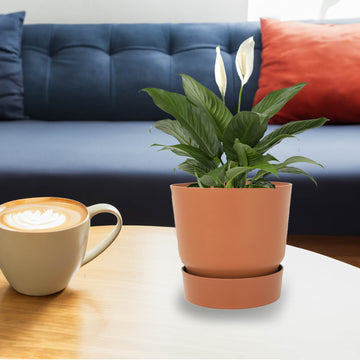 Elho 24.5cm Ginger Brown Round Plastic Planter