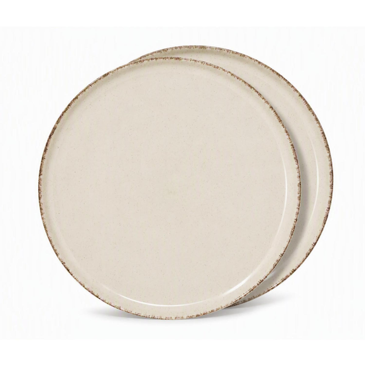 Set of 2 Farmhouse Rustic Speckled Stoneware Dinner Plates