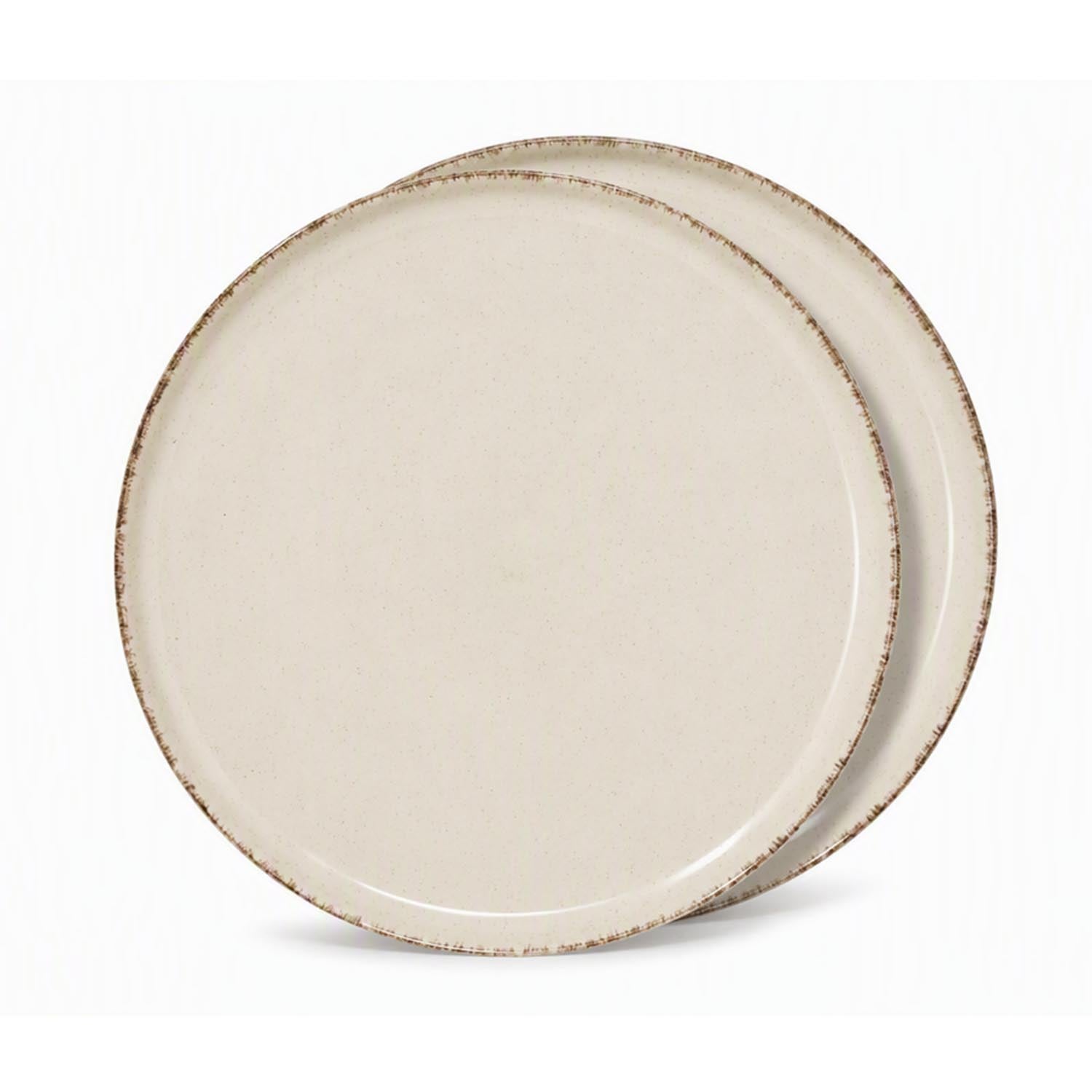 Set of 2 Farmhouse Rustic Speckled Stoneware Dinner Plates