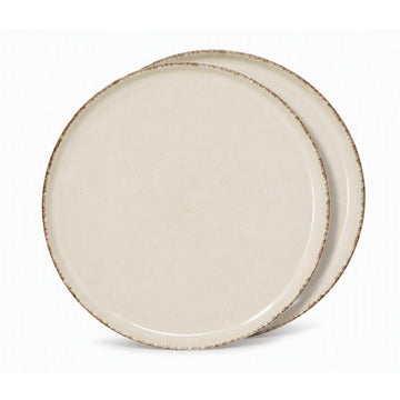 Set of 2 Farmhouse Rustic Speckled Stoneware Dinner Plates