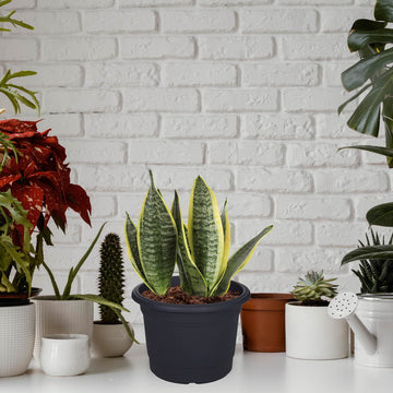 35cm Milano Round Plastic Planter Black
