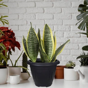 43cm Plastic Planter Round Venetian Flower Plant