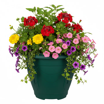 33cm Venetian Planter Round Plastic Forest Green Flower Pot