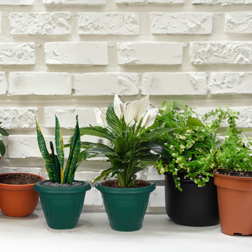 24cm Green Venetian Round Planter