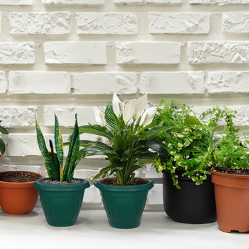 24cm Green Venetian Round Planter