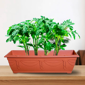 3Pc 60cm Window Box Planter Plastic Brown Garden Trough