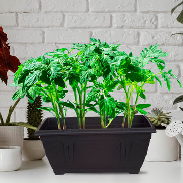 6Pcs 40cm Window Box Planter Plastic Black Garden Trough