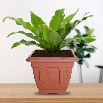 5Pcs 22cm Plastic Planter Square Brown Garden Basket