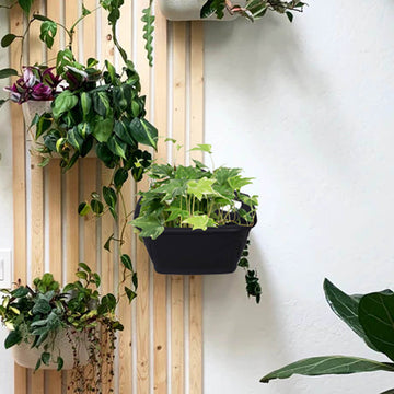 31cm Wall Hanging Planter Plastic Black Garden Basket