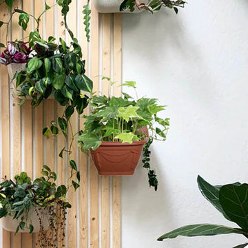 31cm Wall Hanging Planter Plastic Brown Garden Basket