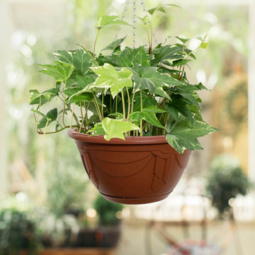 32cm Hanging Planter Plastic Round Chain Basket Terracotta Venetian Patio Plant