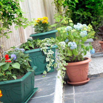32cm Venetian Round Plant Pot  Saucer - Terracotta