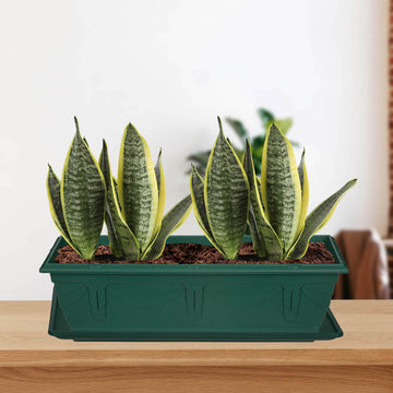 Set Of 60cm 14L Green Plastic Venetian Window Box Planter & 57cm Tray