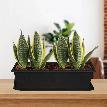 Set Of 60cm Black Rectangle Window Box Planter & Plastic Venetian Drip Saucer