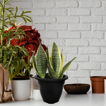 20cm Plastic Bell Planter Round Flower Plant Pot Black