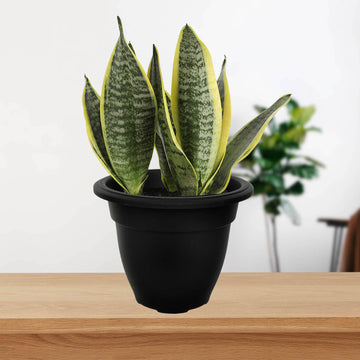 30cm Plastic Bell Planter Round Flower Plant Pot Black