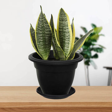 5-Set 30cm Plastic Bell Planter Round Flower Plant Pot Black