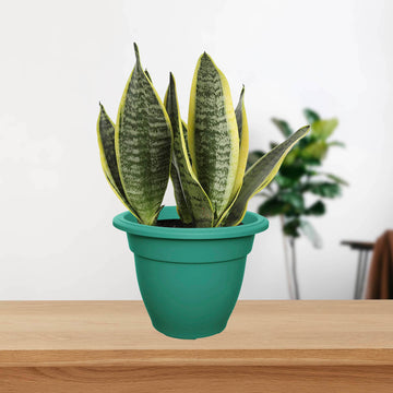 4pcs Green Pink 38cm Bell Planter Garden Round