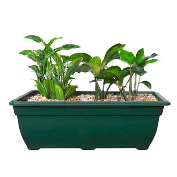 4Pcs 50cm Plastic Green Bell Trough Planter Box