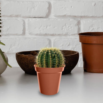 10 cm Garden Pots Set of 7 Growing Flower Pot Planter