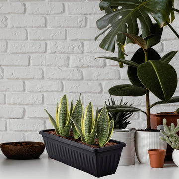 60cm Black Window Box Plastic Planter