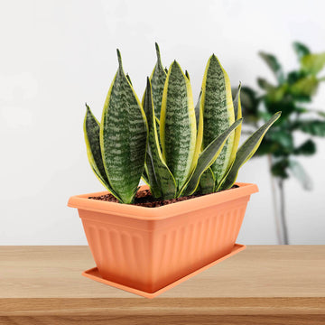 40cm Brown Venetian Plastic Window Box Planter & Drip Saucer