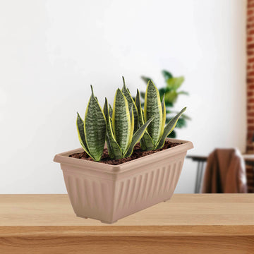 3Pcs 40cm Light Grey  Window Box Plastic Planter