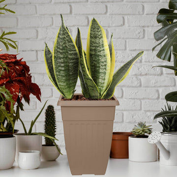 2pcs 42cm Tall Taupe Basic Planter