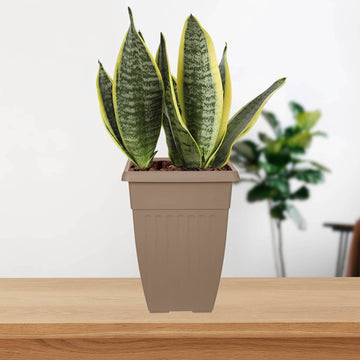 6pcs 42cm Tall Taupe Basic Planter