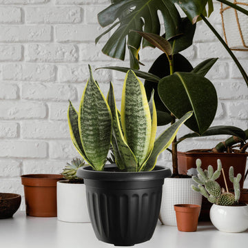 30cm Black Round Plastic Planter
