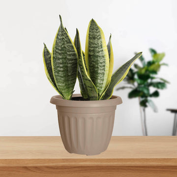 40cm Taupe Round Plastic Planter