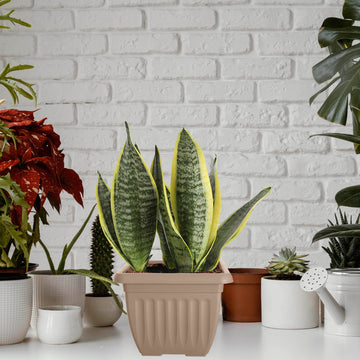 40cm Taupe Square Plastic Planter