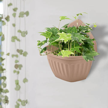 32cm Wall Cream Hanging Planter Terracotta