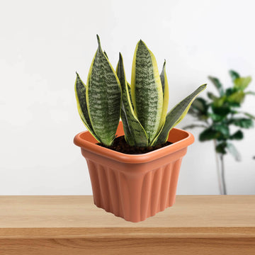 2pc 40cm Square Plastic Lightweight Planter