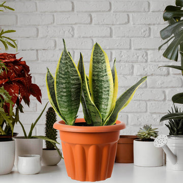 33cm Round Plastic Planter Terracotta