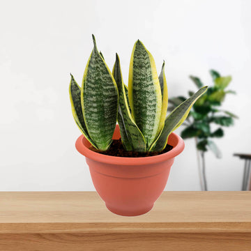 48cm Bell Round Plastic Planter Terracotta