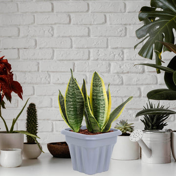 33cm Square Grey Plastic Planter