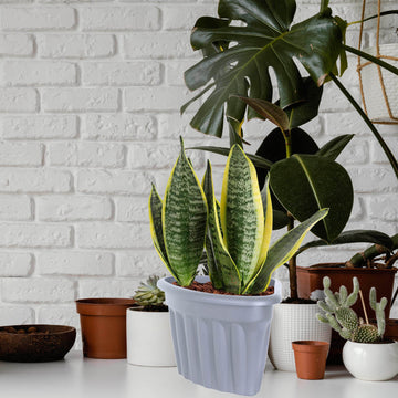 40cm Grey Corner Plastic Planter