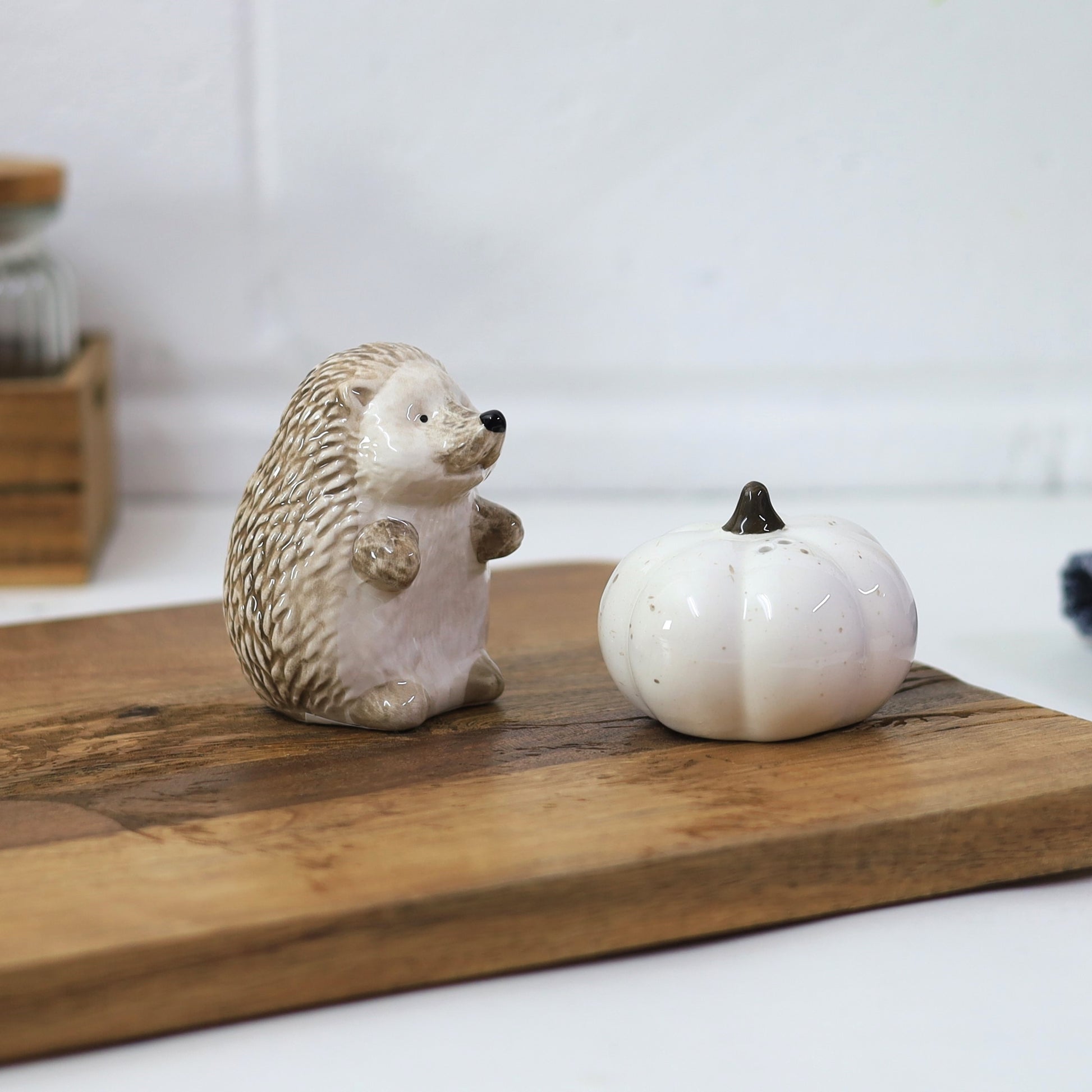 White Ceramic Autumn Decor Pumpkin & 3D Hedgehog Design Salt & Pepper Pots