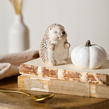 White Ceramic Autumn Decor Pumpkin & 3D Hedgehog Design Salt & Pepper Pots