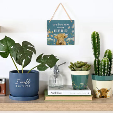 Navy Blue Ceramic Planter With Saucer - 'I Will Survive'