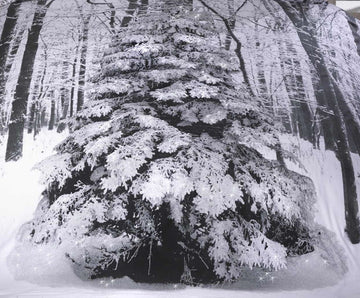 Winter Sparkle Snow Glitter Tree Double Duvet Cover Set