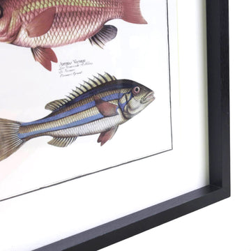 Framed Three Fish Picture Wall Art