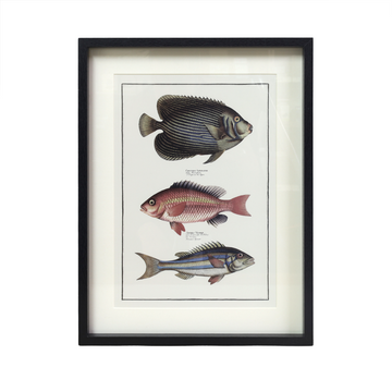Framed Three Fish Picture Wall Art