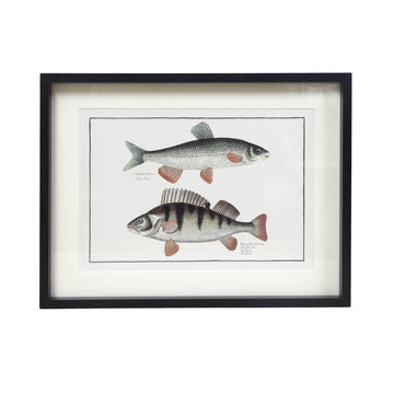 Framed Two Fish Picture Wall Art
