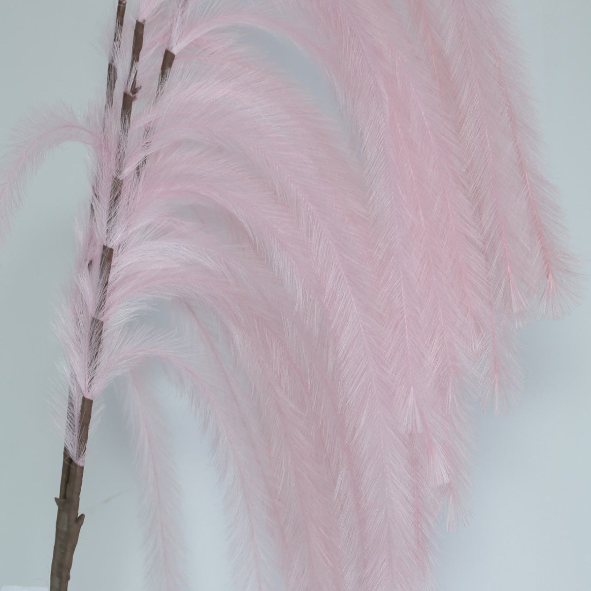 174cm Pampas Grass Spray Pink - Bonnypack