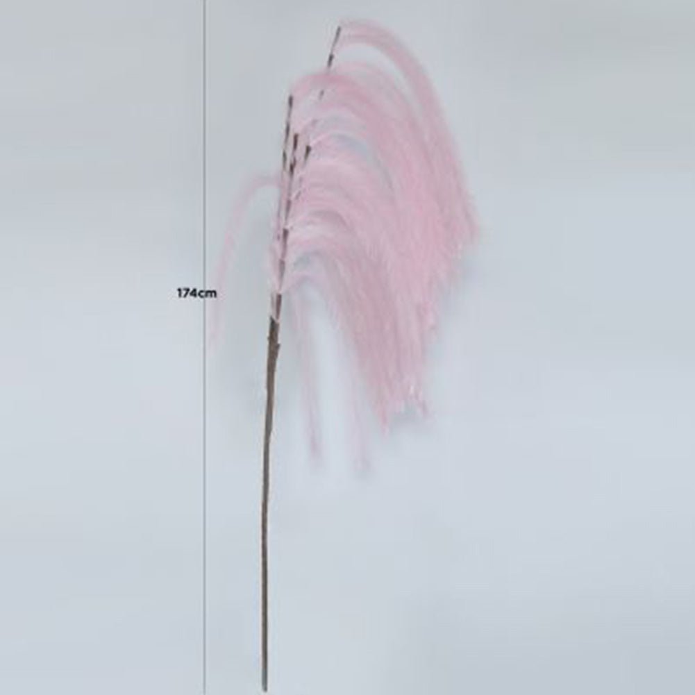 174cm Pampas Grass Spray Pink - Bonnypack